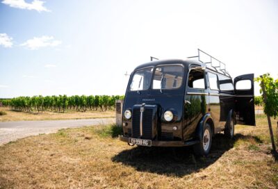 Bourgoin Cognac : Expert – Safari in the vineyard._Saint-Saturnin